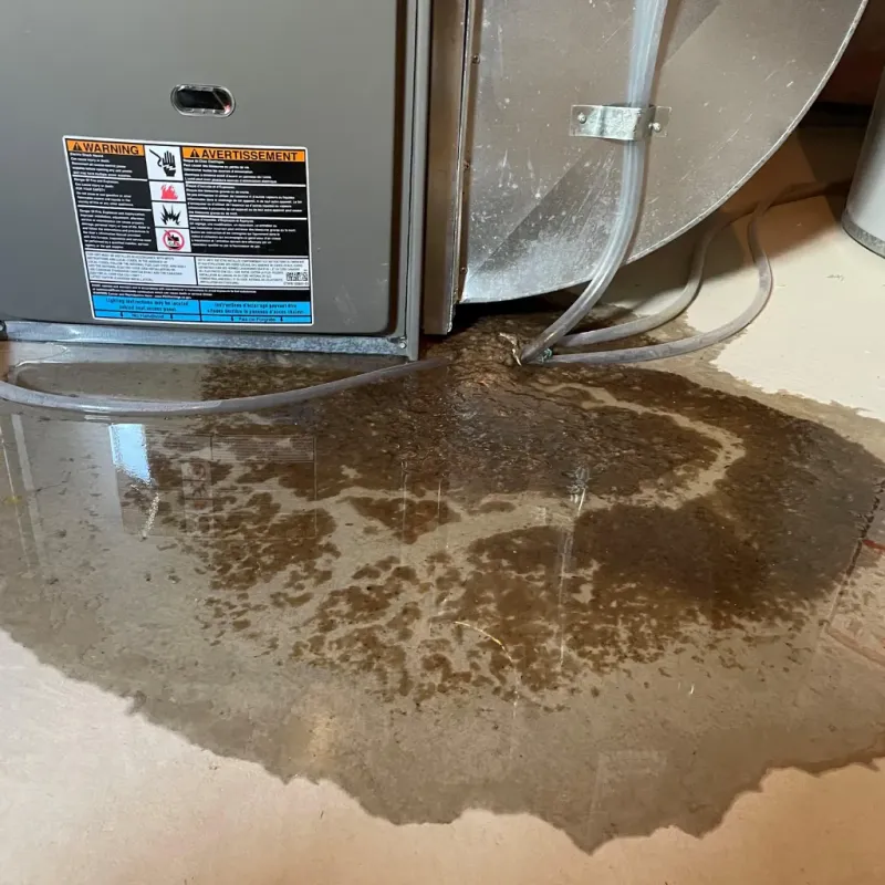 Appliance Leak Cleanup in Privateer, SC